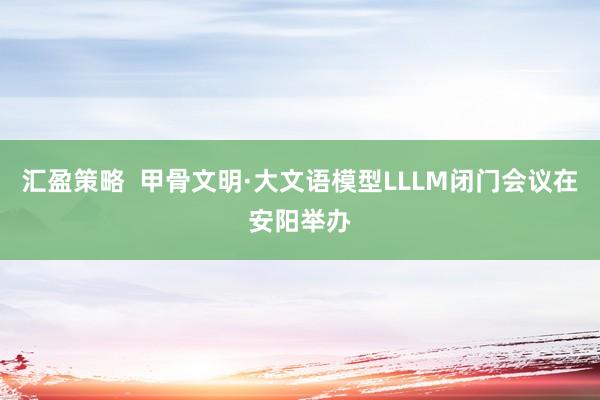 汇盈策略  甲骨文明·大文语模型LLLM闭门会议在安阳举办