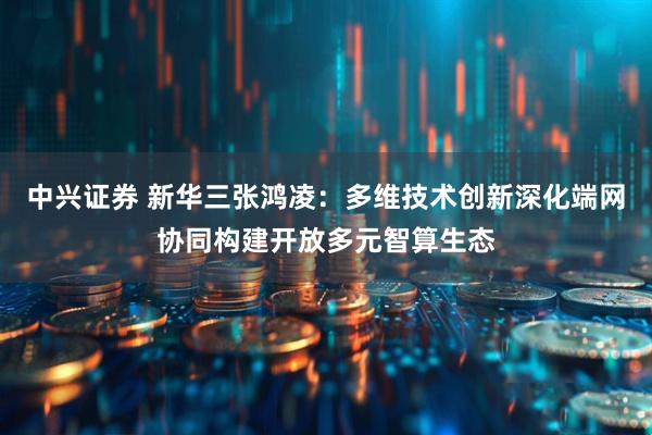 中兴证券 新华三张鸿凌：多维技术创新深化端网协同构建开放多元智算生态