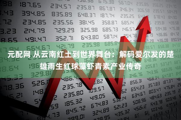 元配网 从云南红土到世界舞台：解码爱尔发的楚雄雨生红球藻虾青素产业传奇