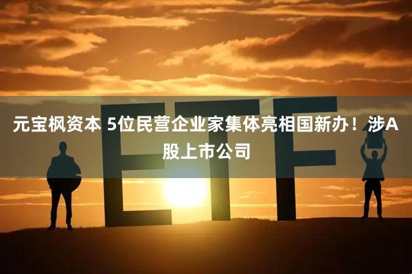 元宝枫资本 5位民营企业家集体亮相国新办！涉A股上市公司